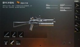 刺激战场爆料ss5最新,全新地图与玩法，带你领略战场新篇章